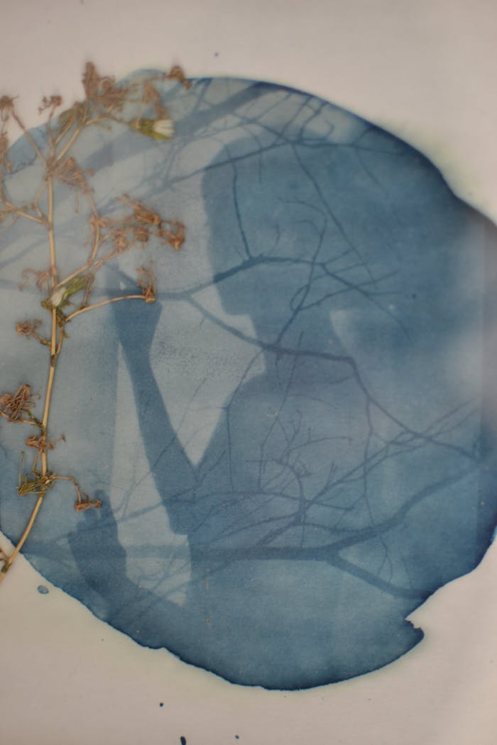 A cyanotype print featuring a delicate plant and abstract patterns in blue hues.